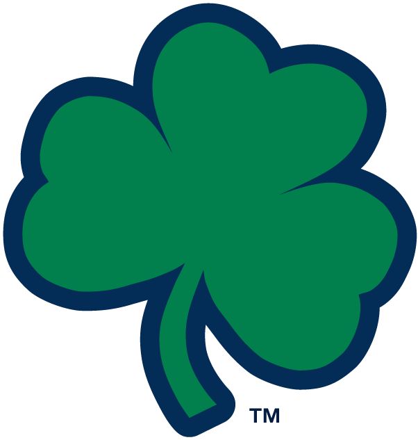 Notre Dame Fighting Irish 1994-Pres Alternate Logo v6 diy iron on heat transfer